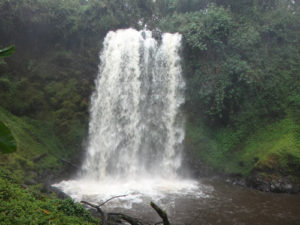 Attractions in Kahuzi-Biega National Park