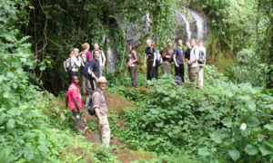 Waterfalls in Mount Elgon National Park