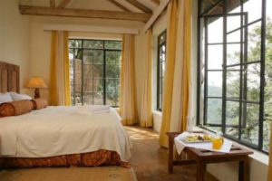 Luxury Accommodation in Bwindi National Park