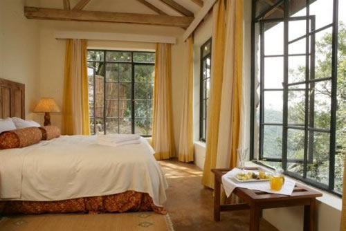 Luxury Accommodation in Bwindi National Park