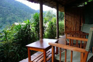 Budget accommodation and lodges in Bwindi