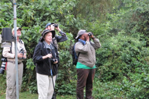 Birdwatching in Mgahinga National Park