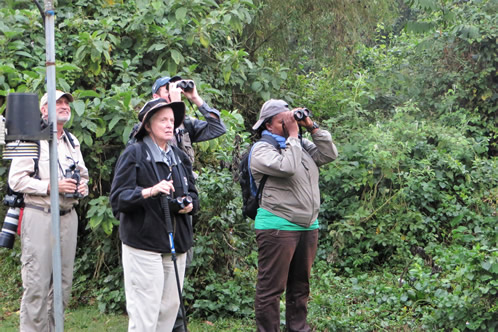 Birdwatching in Mgahinga National Park