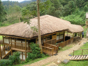 Accommodation facilities in Bwindi Impenetrable Forest