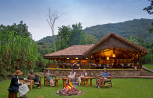 Accommodation in Bwindi National Park