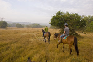 horseback safaris in Jinja Uganda