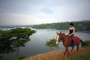 Horseback riding on the Nile in Jinja