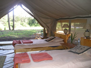 Lodges in Queen Elizabeth National Park