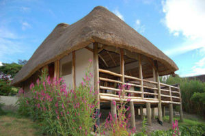 Hotels in Queen Elizabeth National Park