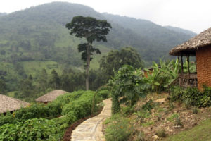 Facts about Bwindi National Park