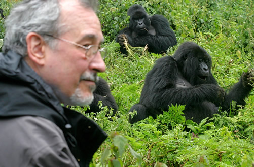 Mgahinga Gorilla National Park Uganda
