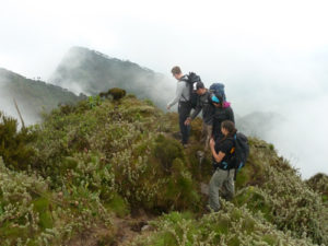Mountain climbing and Hiking in Mgahinga National Park