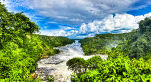 national parks for a safari in Uganda