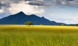 top national parks in Uganda