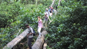 Nature Walks in Queen Elizabeth National Park