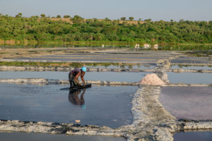 Salt Mining in Lake Katwe of Queen Elizabeth National Park