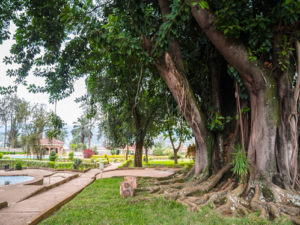 best things to do in Kigali