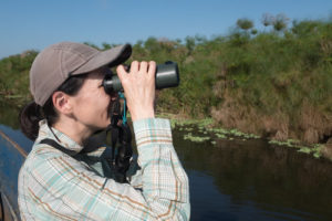 birdwatchin in Mabamba wetland