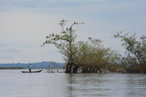 Fishing in Mabamba Island