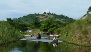 The Mabamba wetland in Uganda