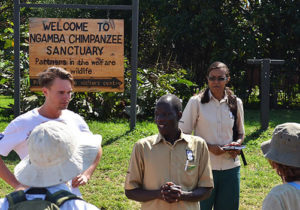 Ngamba chimpanzee sanctuary for orphaned chimps