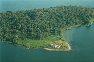 Ngamba Island