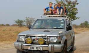 Where to see tree climbing lions