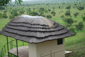 Accommodation in Pian Upe Wildlife Reserve