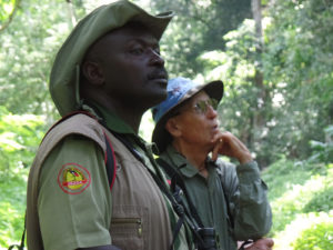 Budongo Forest