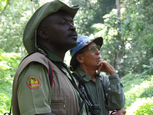 Budongo Central Forest Reserve Chimpanzee Trekking In Budongo