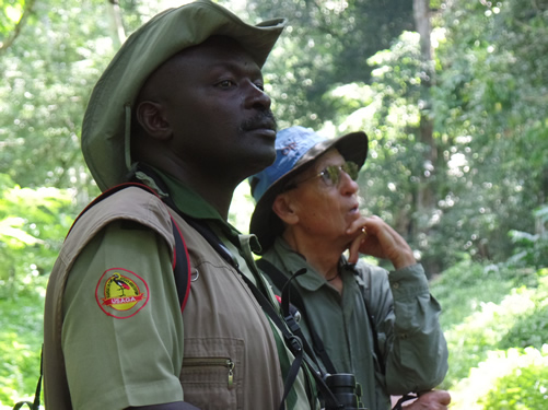 Budongo Forest