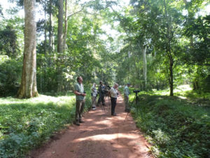 Chimpanzee Habituation Experience in Budongo