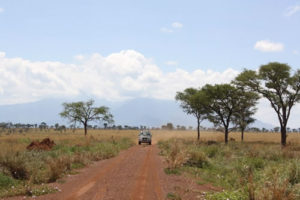 Game drives in Pian Upe Wildlife Reserve