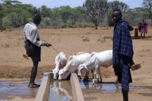 Karamojong in Bokora Wildlife Reserve