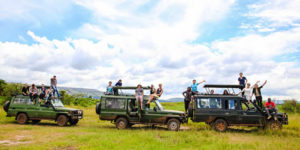 Tour Operators in Rwanda
