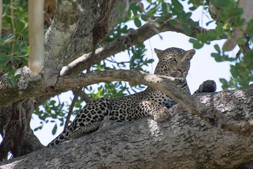 Ajai Wildlife Reserve Uganda