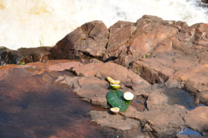 A sacrifice left at the Sezibwa falls