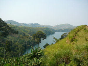 Chimp tracking in Kibale