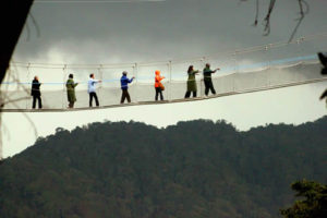 Chimpanzee Trekking in Nyungwe Forest