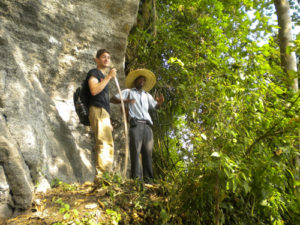 chimpanzee tracking in kibale