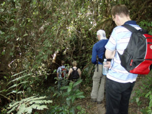 Chimpanzee Trekking in Kyambura Gorge