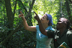 Chimpanzee Trekking in Kyambura Gorge