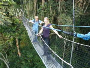 Chimpanzee Trekking in Nyungwe National Park