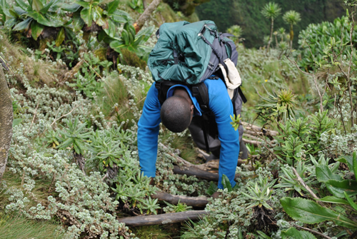 Hiking Mount Sabinyo in Uganda