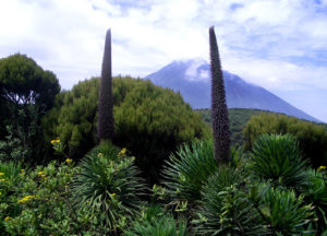 Climbing Mount Sabyinyo