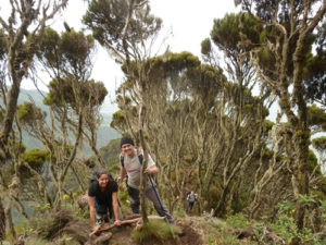 Climbing Mount Sabyinyo in Uganda