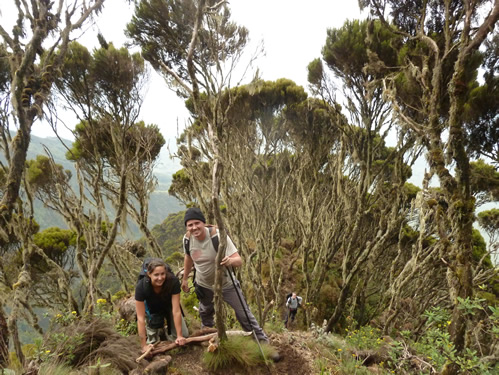 Climbing Mount Sabyinyo in Uganda