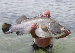 fishing in ssese islands