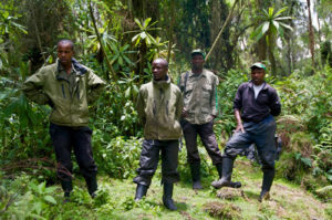 Hiking Mount Muhavura