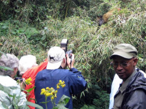 Hiking Mount Sabinyo